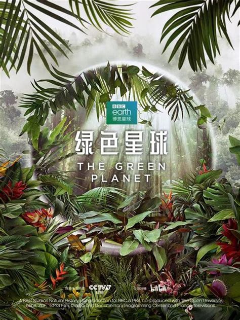 綠色的東西|BBC《綠色星球》熱播：關於植物 你未必知曉的五個。